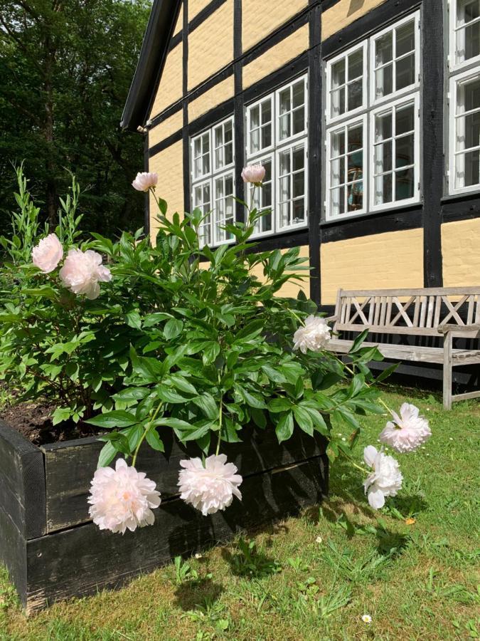 Hotel Egeskoven Viborg Exterior foto
